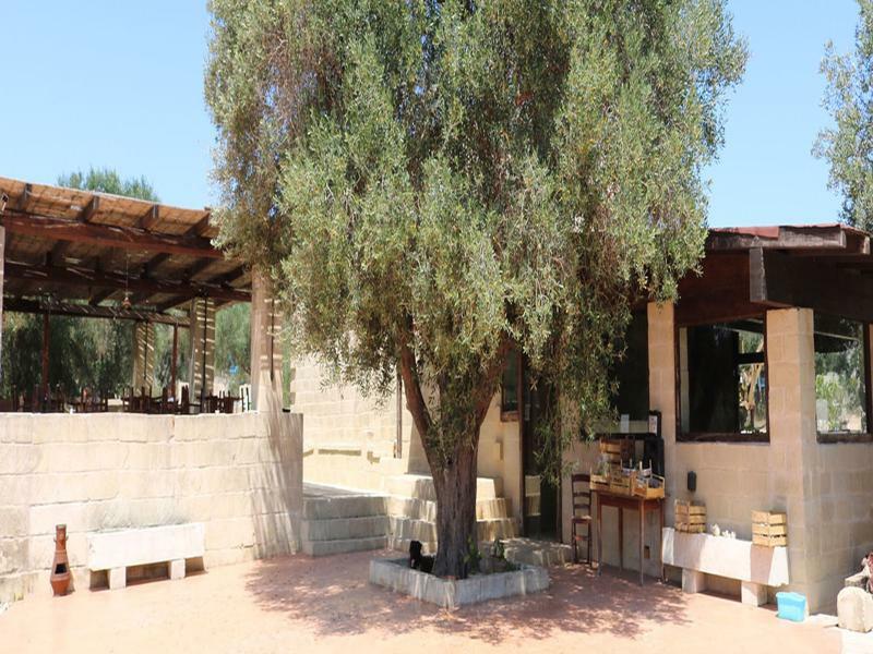La Trottoria Agriturismo オートラント エクステリア 写真
